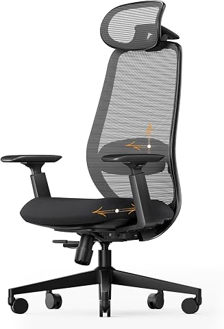 ProtoArc EC200 Ergonomic Office Chair with Adjustable Seat Depth