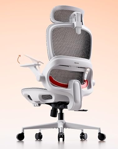 SIHOO B100 Mesh Ergonomic Office Chair with Adaptive Lumbar Support